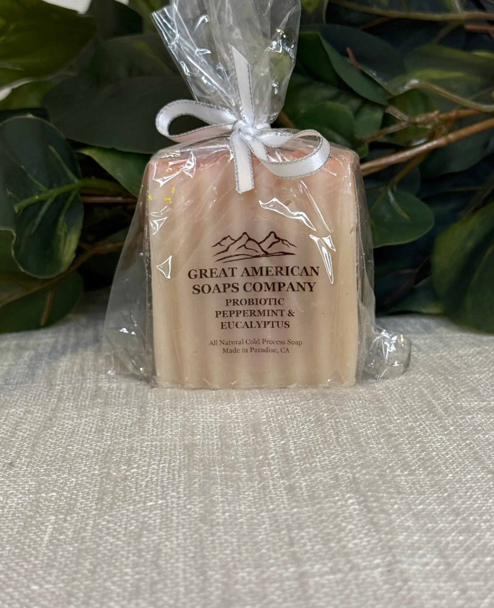 Soap Bars