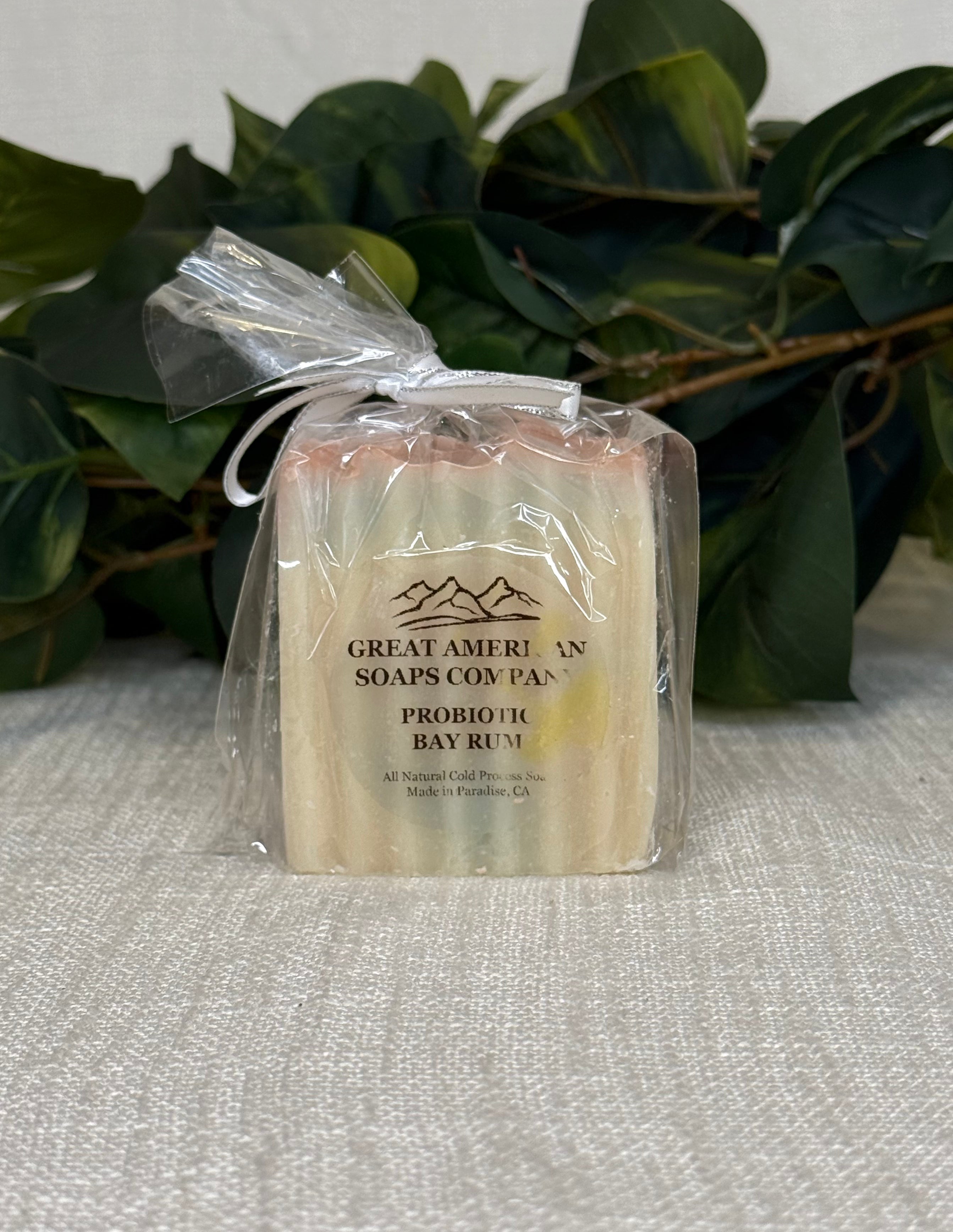 Soap Bars