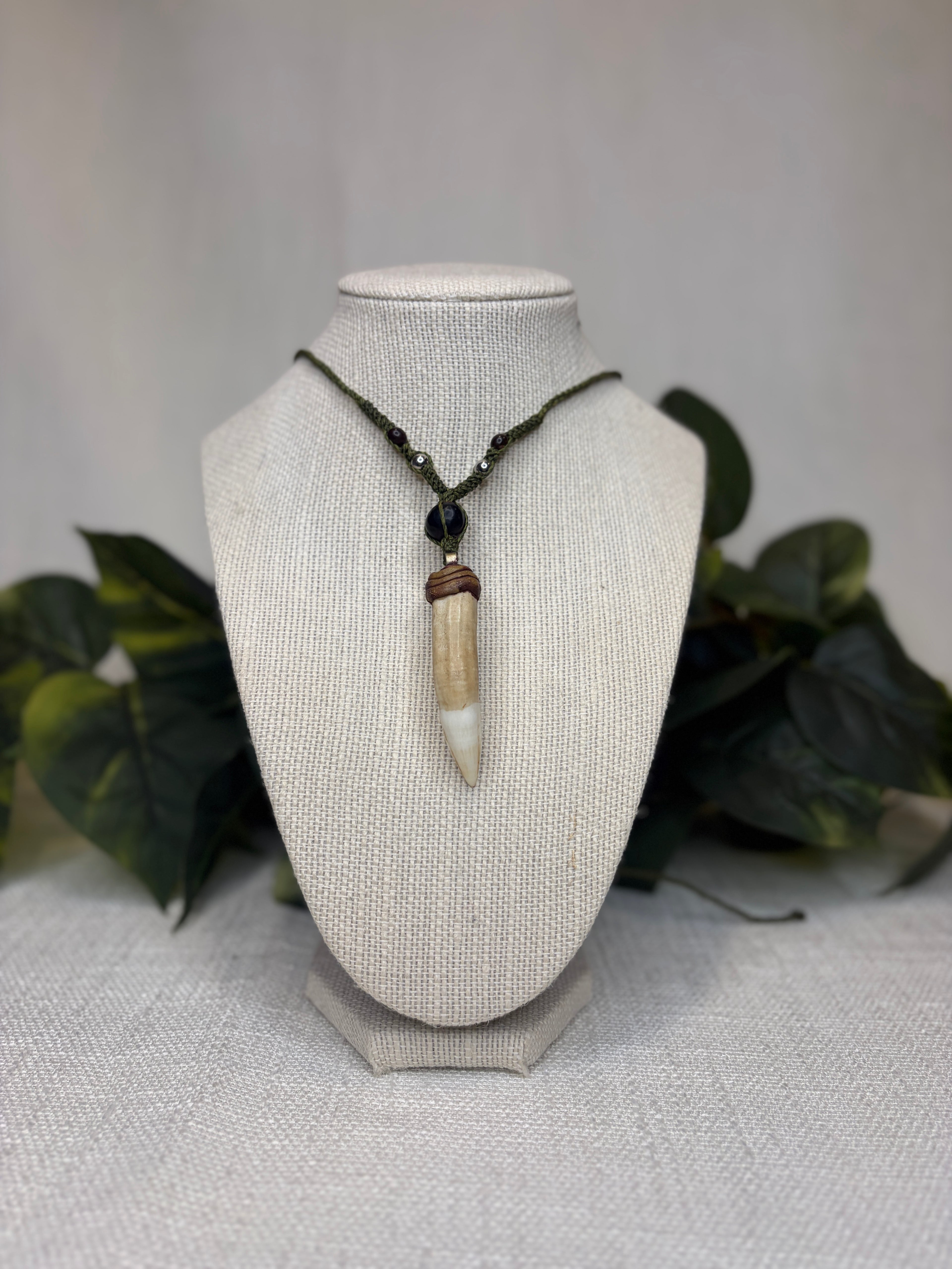 Ayahuasca Root Necklace with Claw