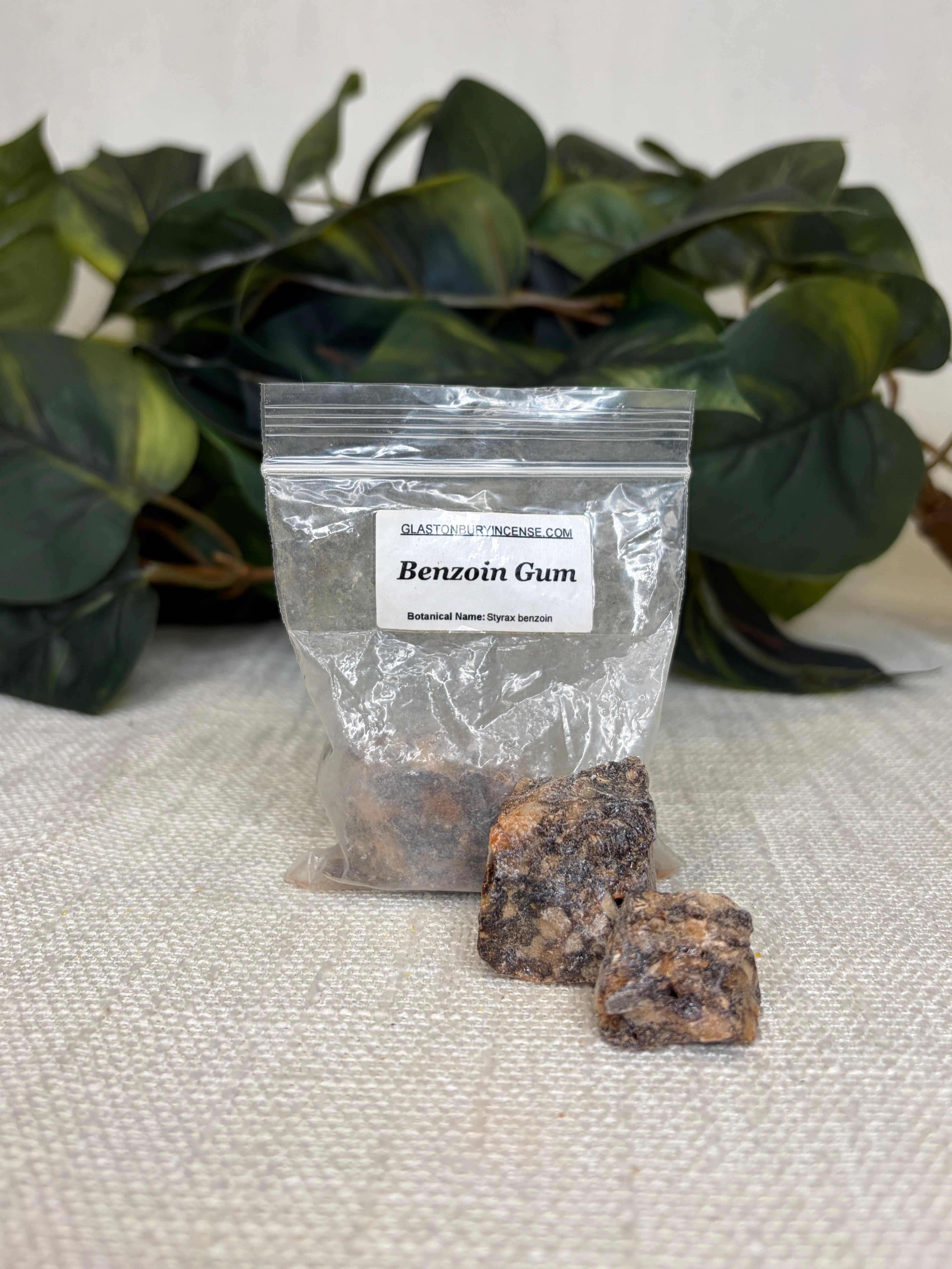 Benzoin Gum