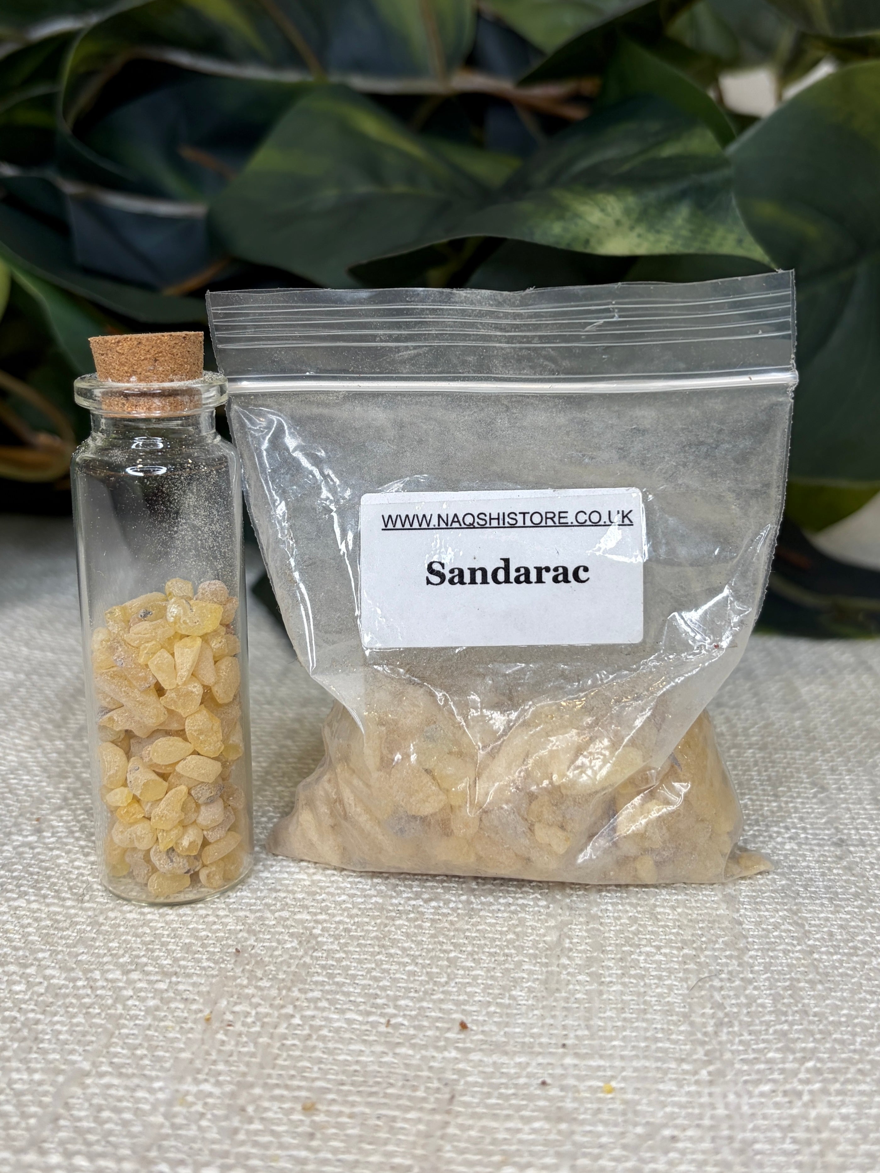 Sandarac