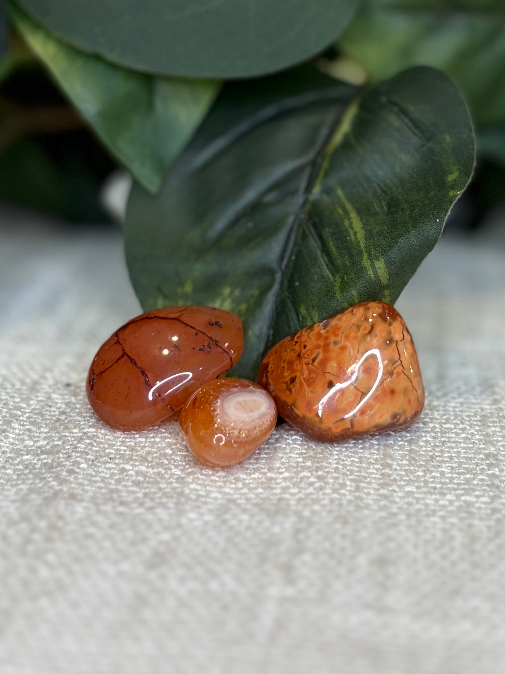 Carnelian