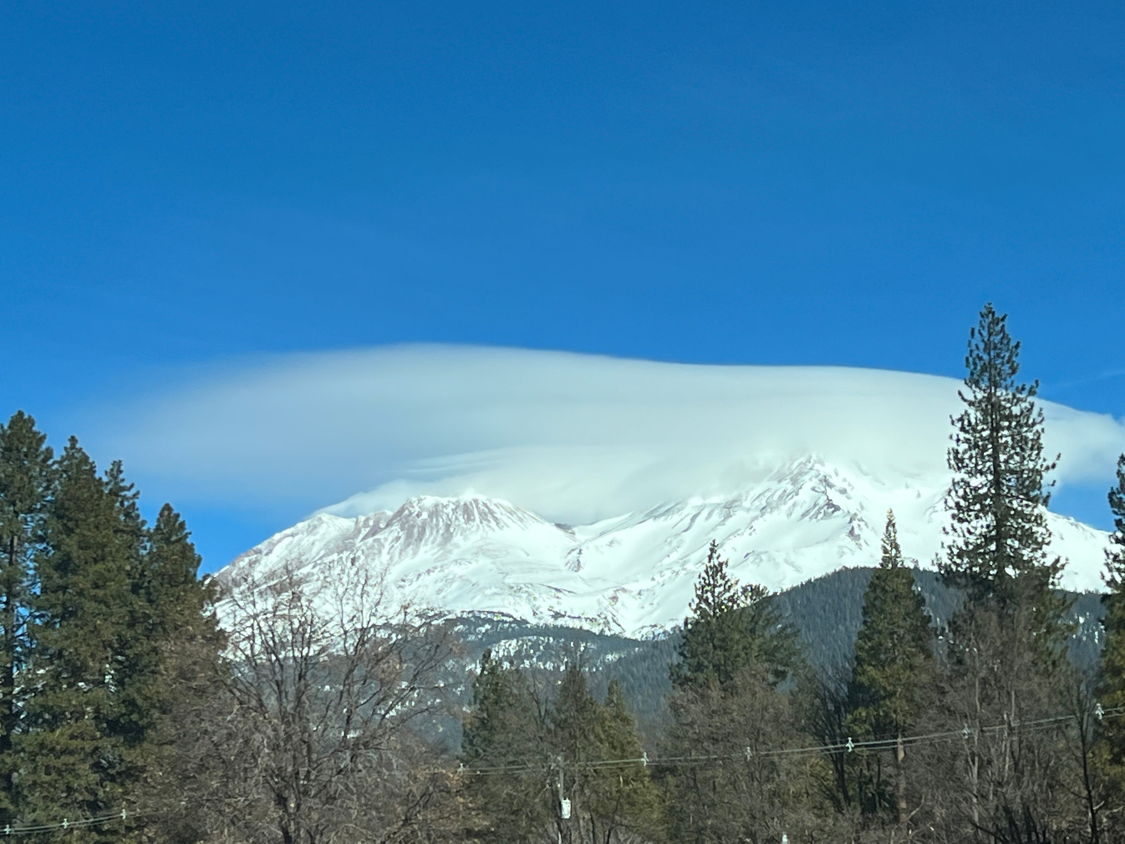 Video Tour & Gallery – Purefect Balance